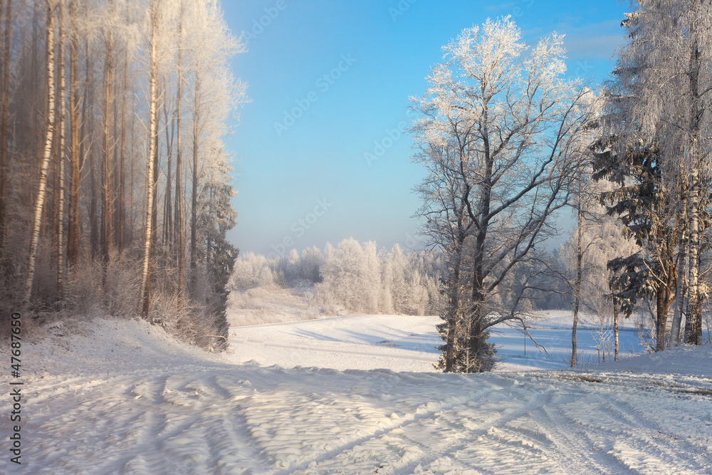 Fototapeta premium Winter landscape.