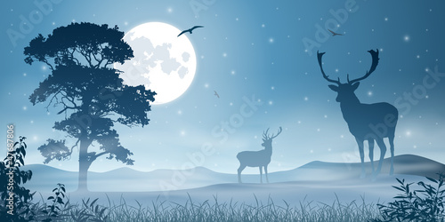 Male Stag Deer on a Misty Meadow with Night Sky and Moon