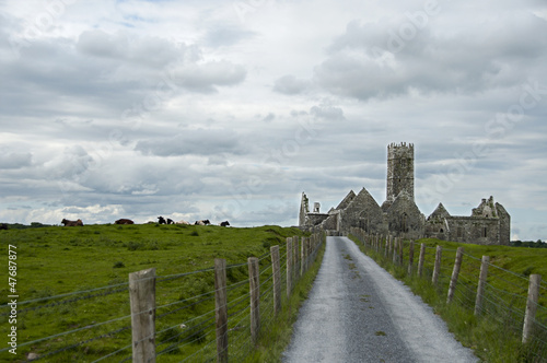 Ross Errilly Friary photo