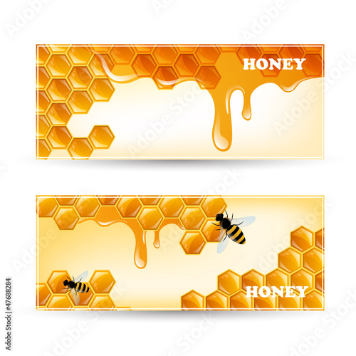 Vector Illustration of Two Honey Banners