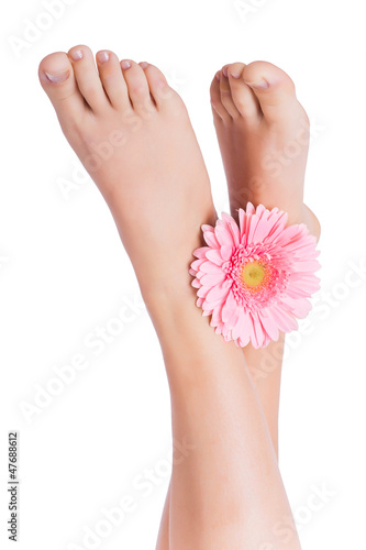 Beautiful legs