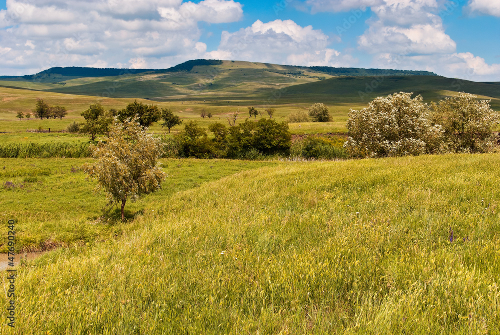 Fototapeta premium летний пейзаж