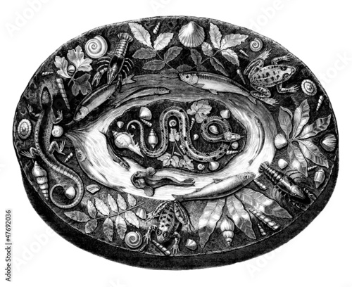 Plate - Palissy - 16th century photo