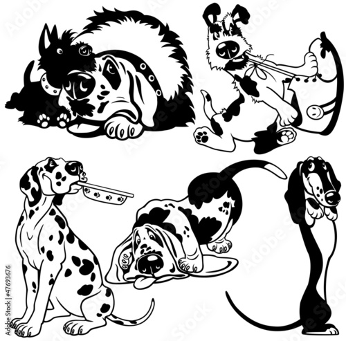 set with cartoon dogs black white