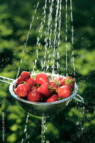 Washing the strawberries in a sieve
