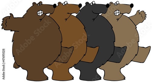 Bears dancing the Can-can