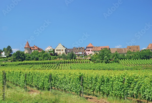 der Wein-und Touristenort Zellenberg im Elsass