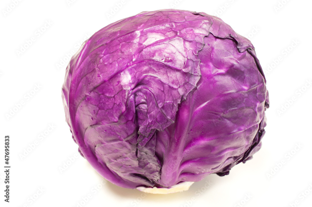 Purple cabbage Purple cabbage