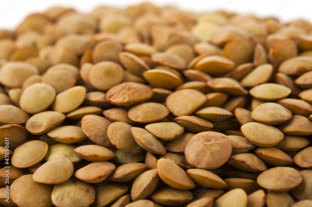 Lentil Lentil