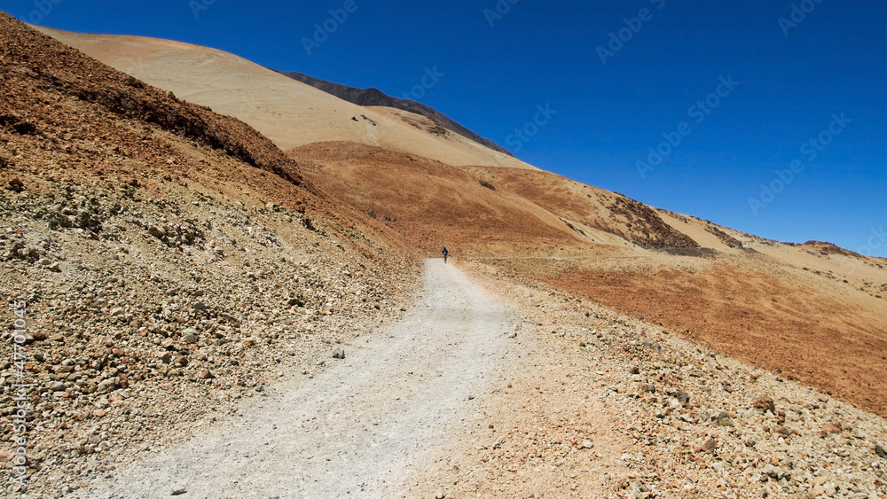 Ascent to Mount Teide