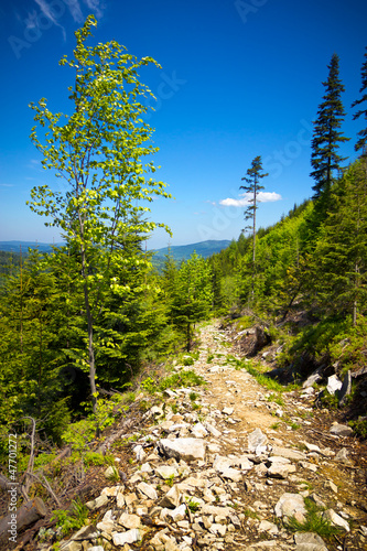 Fototapeta Naklejka Na Ścianę i Meble -  View from trail to the Pilsko Peak from Beskidy mountains Poland