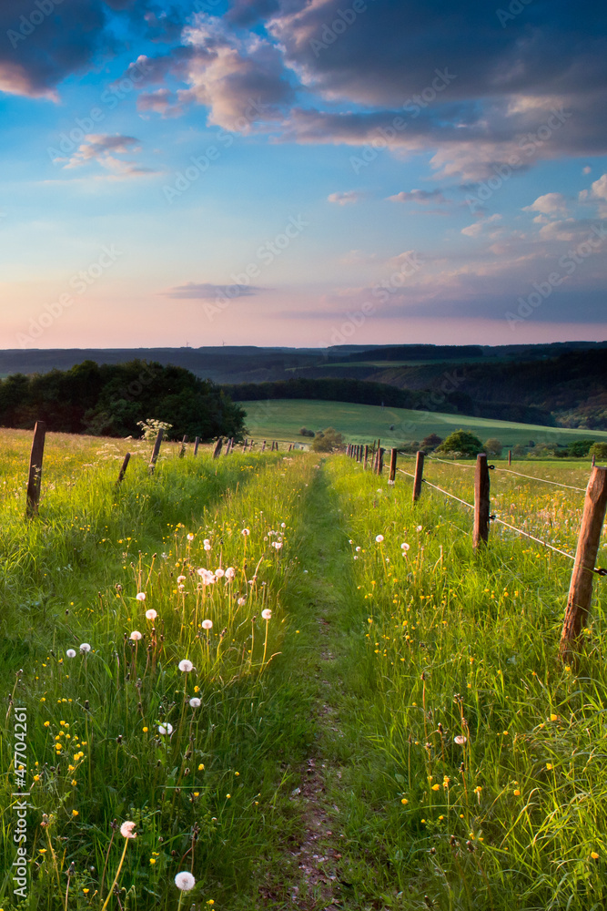 Obraz premium sunset trail