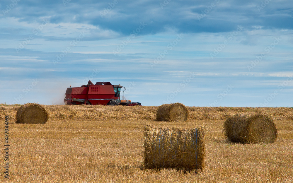 Obraz premium combine harvesting