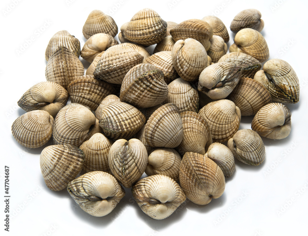 Heap of Fresh Cockles isolated on white