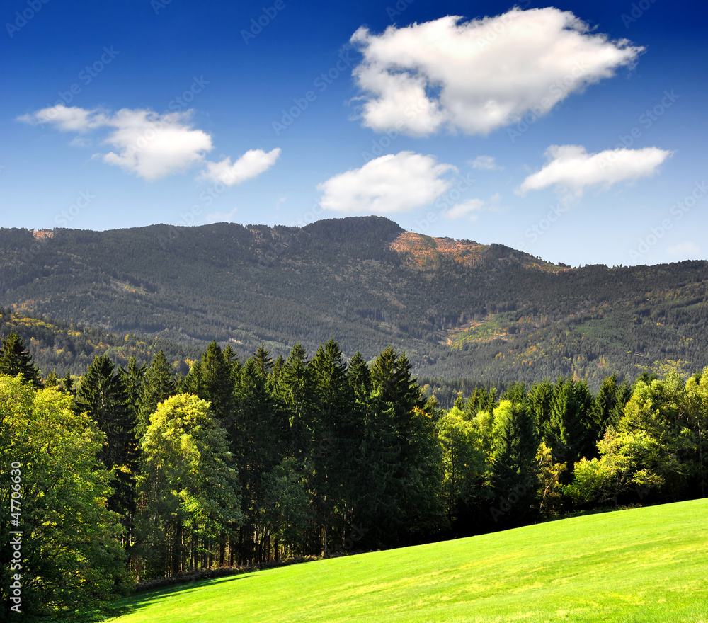 Obraz premium Spring landscape in the national park Sumava - Czech Republic