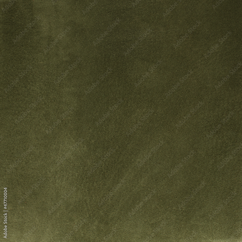 Fototapeta premium Green leather