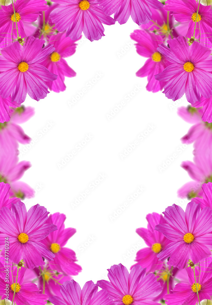 large pink flowers frame isolated on white large pink flowers frame isolated on white
