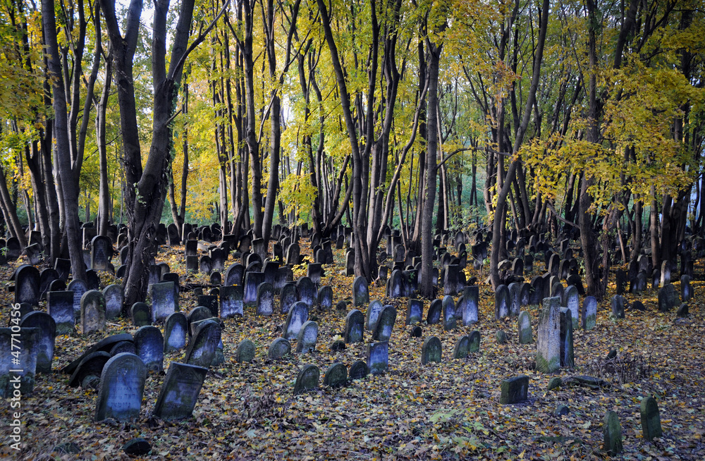 Old graves at historic Jewish cemetery in Warsaw, Poland Old graves at historic Jewish cemetery in Warsaw, Poland