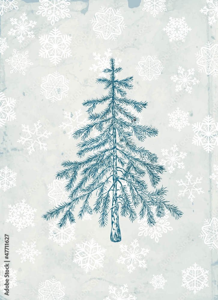 Fir tree Fir tree
