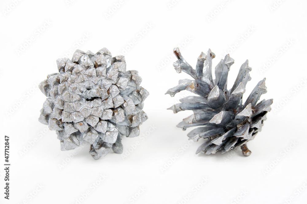 Fototapeta premium Xmas cones painted with silver paint