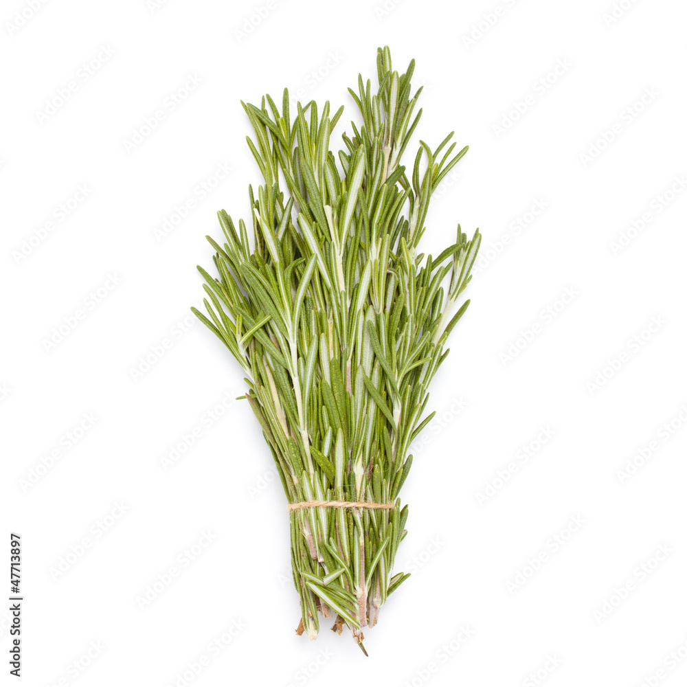 Fototapeta premium Rosemary bunch