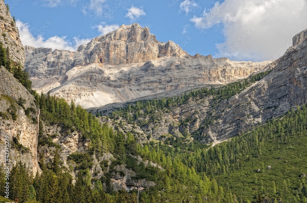 Fototapeta premium Trentino
