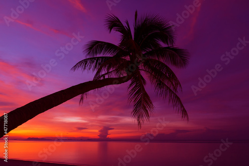 Fototapeta Naklejka Na Ścianę i Meble -  Tropical sunset with palm tree silhoette at beach