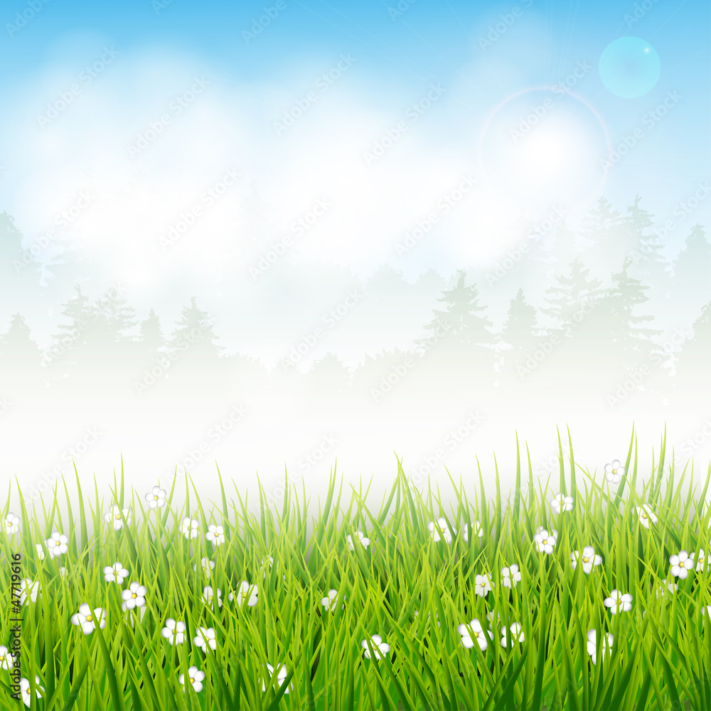 Obraz premium Spring vector landscape