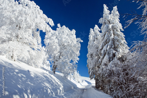 Wallpaper Mural Winter, Schnee, Frost, Baum,  Berg, Straße Torontodigital.ca