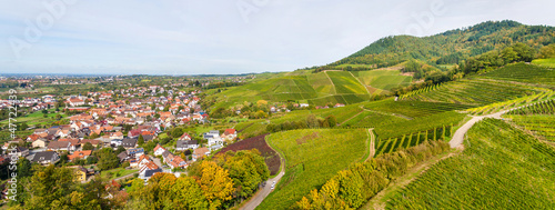 View of vineyards from Ortenberg castle. Germany photo