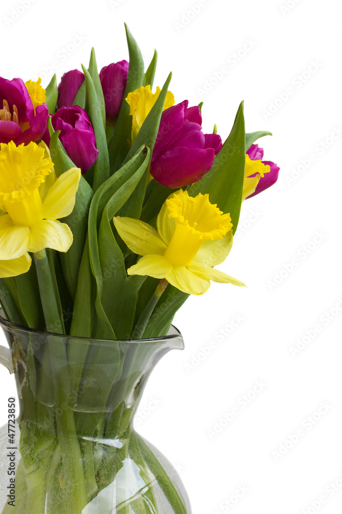 spring flowers spring flowers