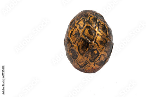 dragon egg