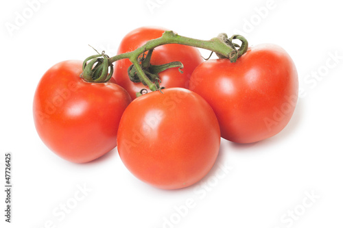 Four tomatoes in a branch