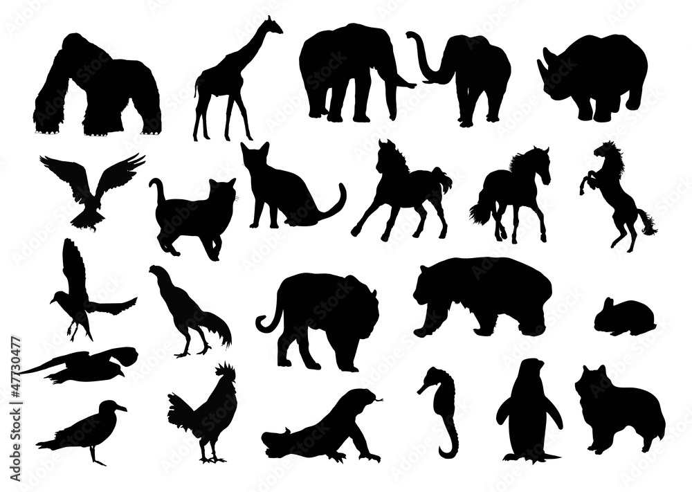 Naklejka premium silhouette of animals