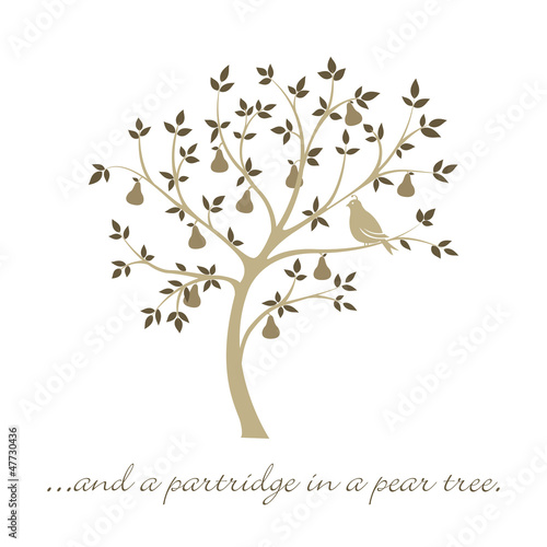 Partridge in a pear tree Christmas card in vector format.
