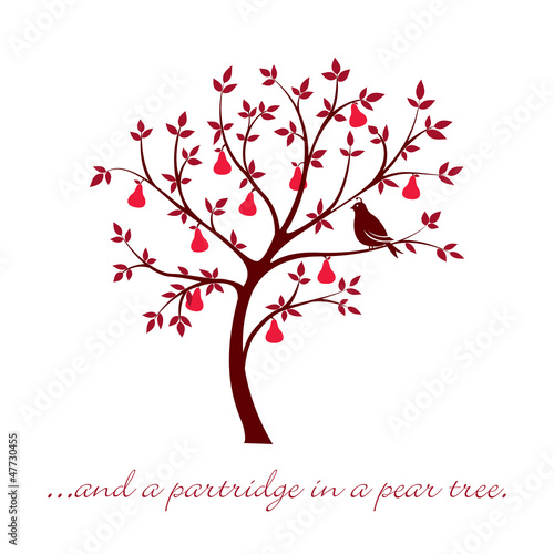 Partridge in a pear tree Christmas card in vector format.
