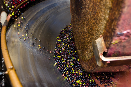 macina in granito mentre schiaccia le olive per fare l'olio