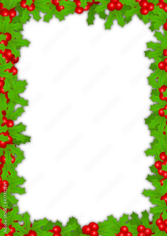 frame of holly frame of holly