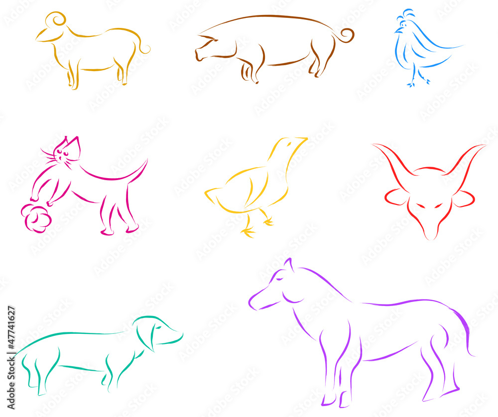 domestic animals vector sketch domestic animals vector sketch