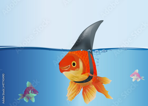 Poisson_Requin