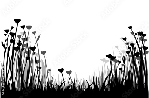 Wiese