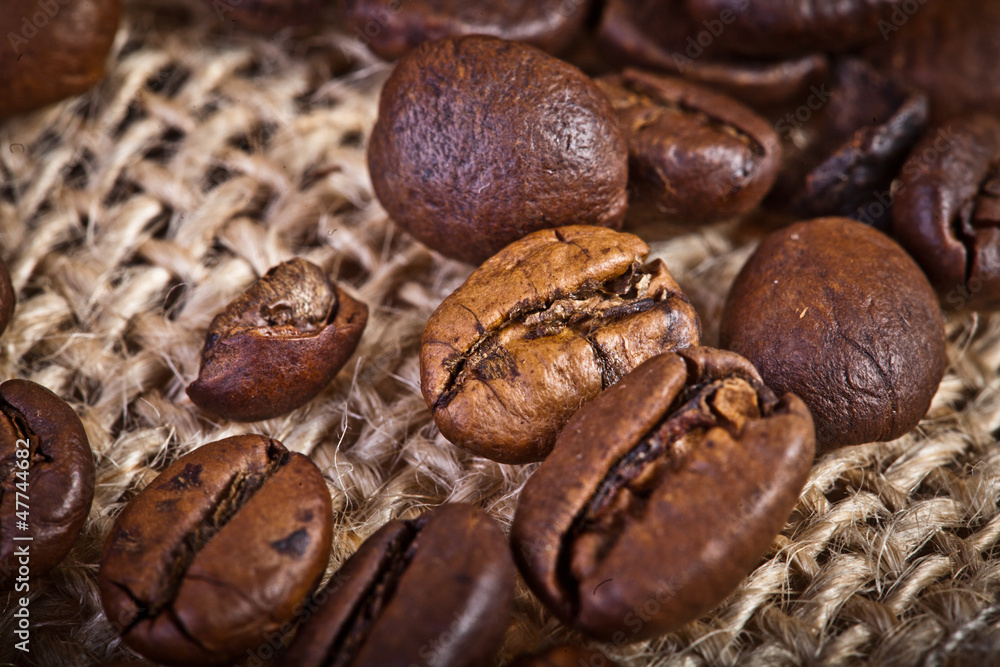 Fresh coffee beans Fresh coffee beans