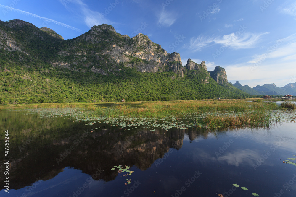 Mountain and reflection in a lake with lotus and typha angustifo