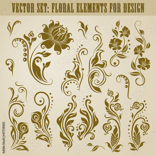 Vector set of floral elements
