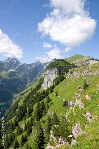 Fototapeta Naklejka Na Ścianę i Meble -  Alpstein - Alpen - Schweiz