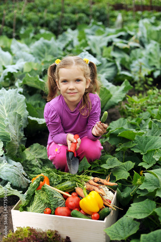 In the kitchen-garden