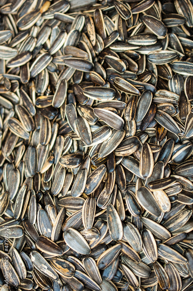 Sun flower seeds Sun flower seeds