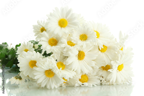 Fototapeta Naklejka Na Ścianę i Meble -  bouquet of beautiful daisies flowers, isolated on white
