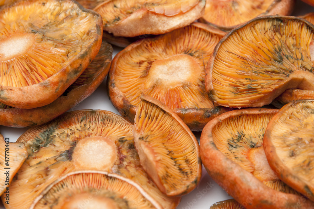 mushrooms mushrooms