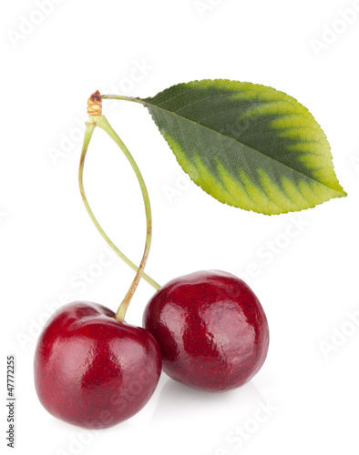 Two ripe cherries with leaf